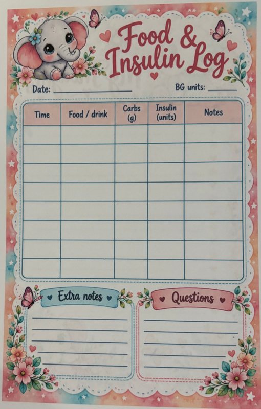 Food and Insulin Log page with extra notes and questions